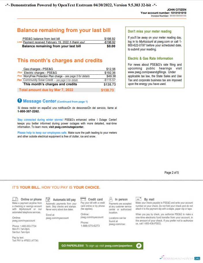 download download USA New York PSEG utility bill, Word and PDF template, 5 pages 2 PDF template PDF template